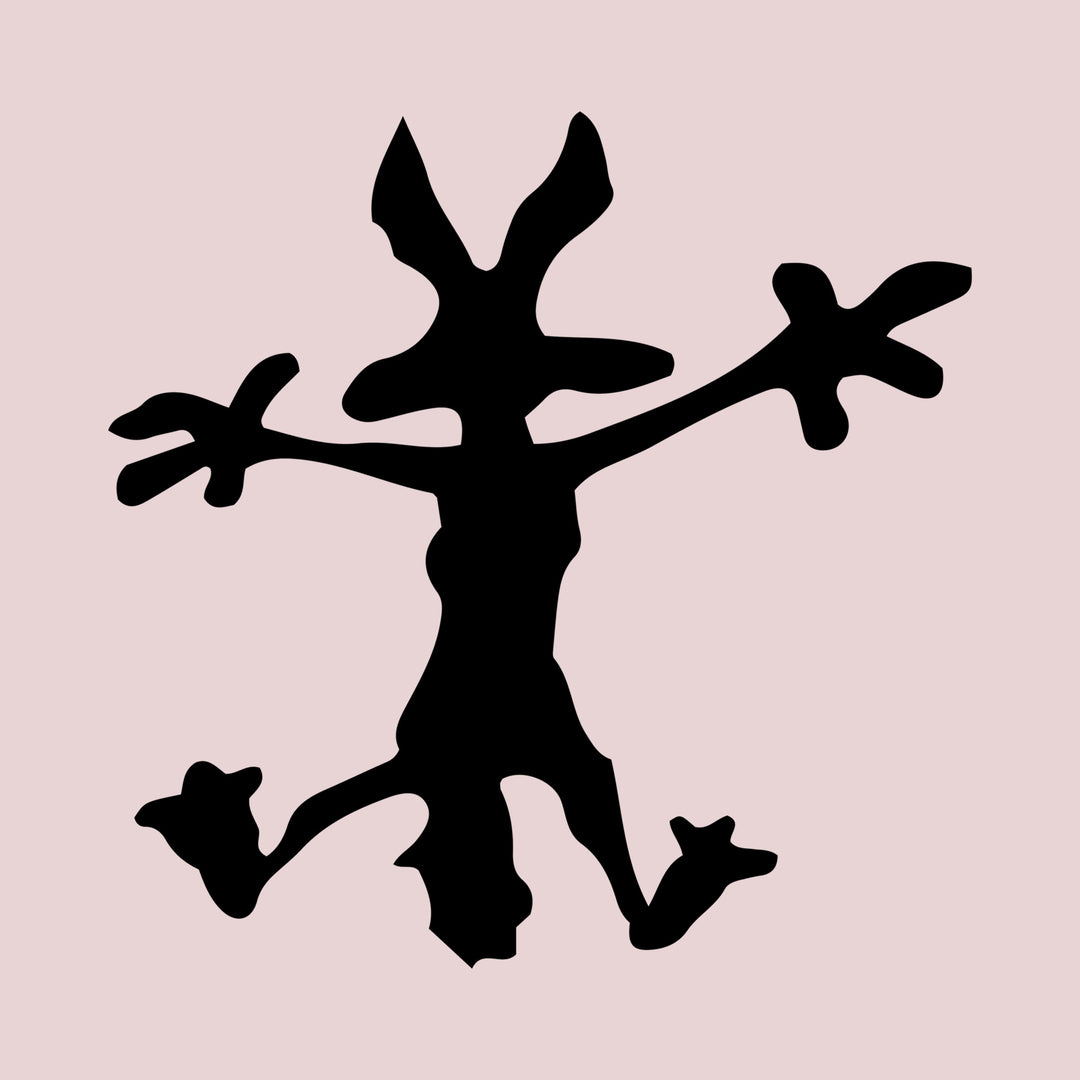 Wile E. Coyote | Metalen Wanddecoratie